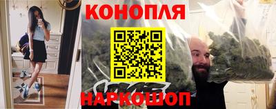 гашик Свободный
