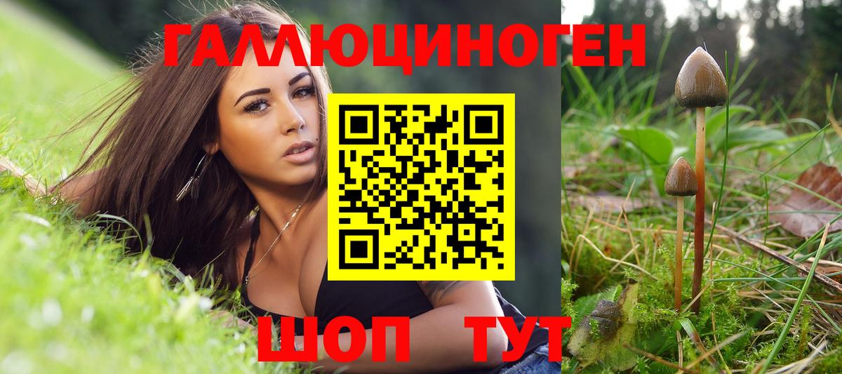 Сальск  цена наркотик  Вход с VPN  Галлюциногенные грибы Psilocybine cubensis 