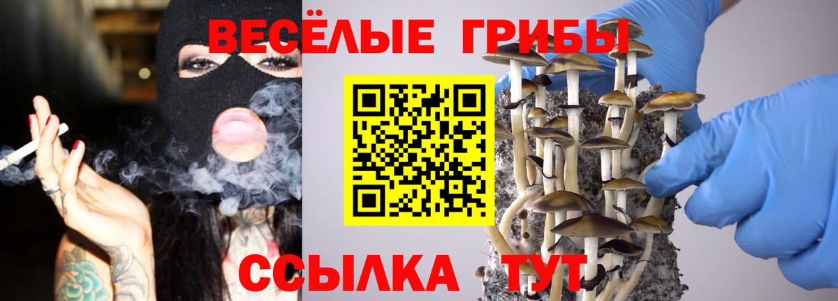 Псилоцибиновые грибы Magic Shrooms Сальск